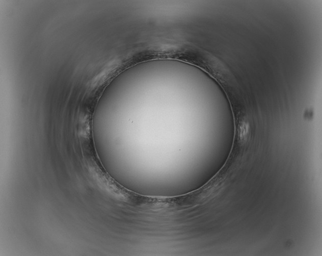 X0000113211204200909241415