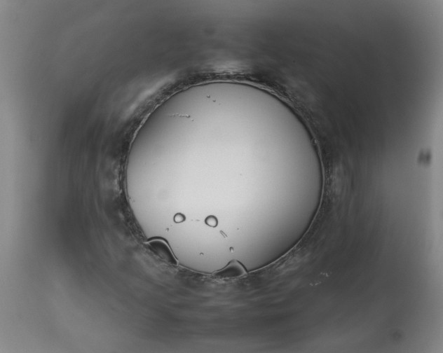 X0000113211205200909241415