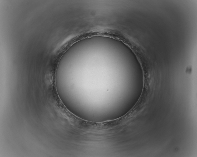 X0000113211206200909241415