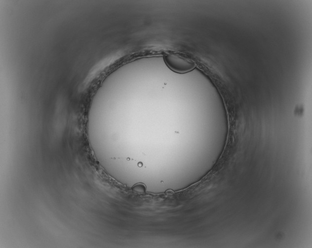 X0000113211207200909241415