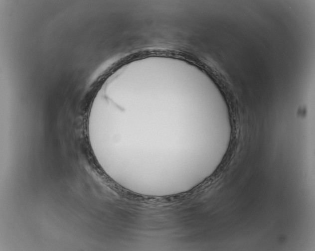 X0000113211208200909241415