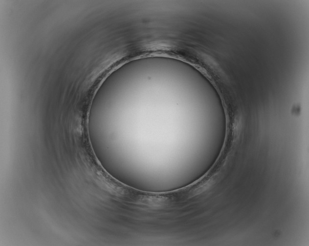 X0000113211209200909241415