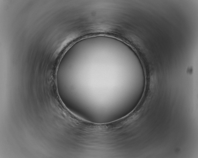 X0000113211210200909241415