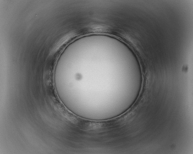 X0000113211211200909241415