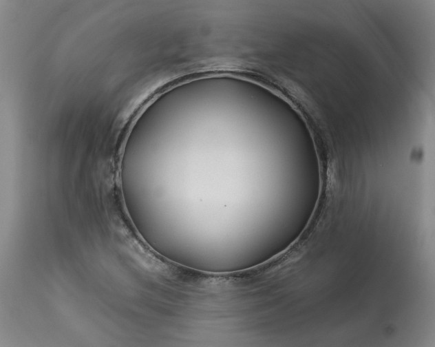 X0000113211212200909241415