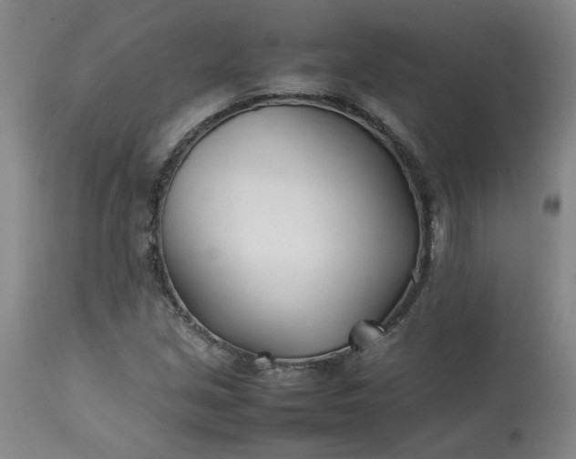 X0000113211213200909241415