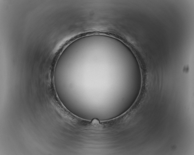 X0000113211214200909241415