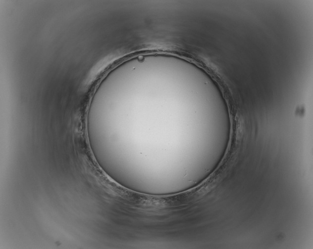 X0000113211215200909241415