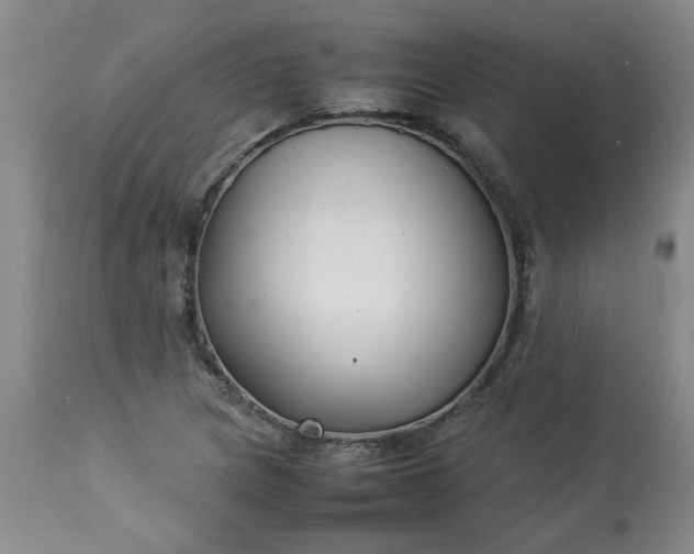 X0000113211217200909241415