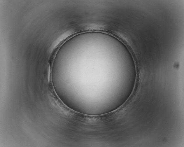 X0000113211219200909241415