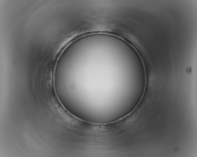 X0000113211220200909241415