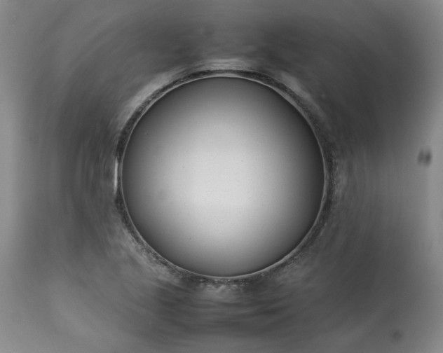 X0000113211221200909241415