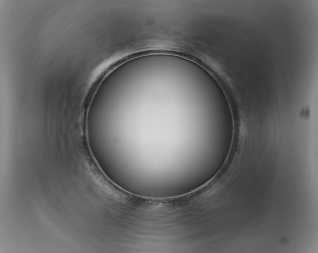 X0000113211222200909241415