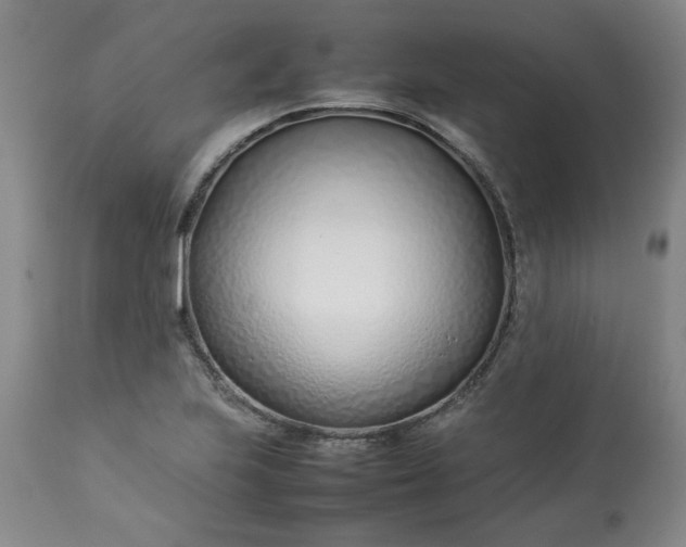 X0000113211223200909241415