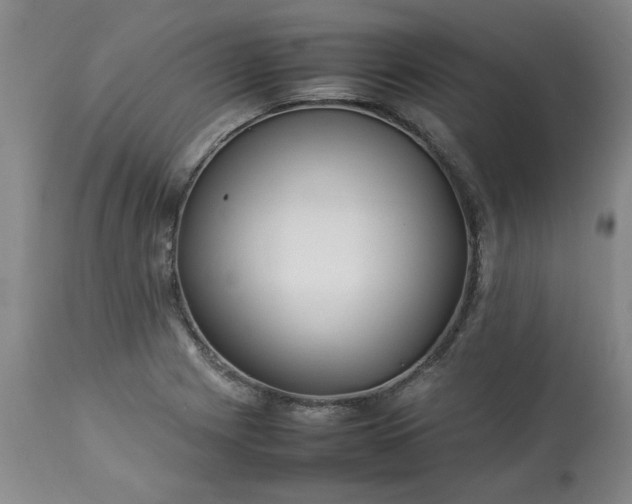 X0000113211225200909241416