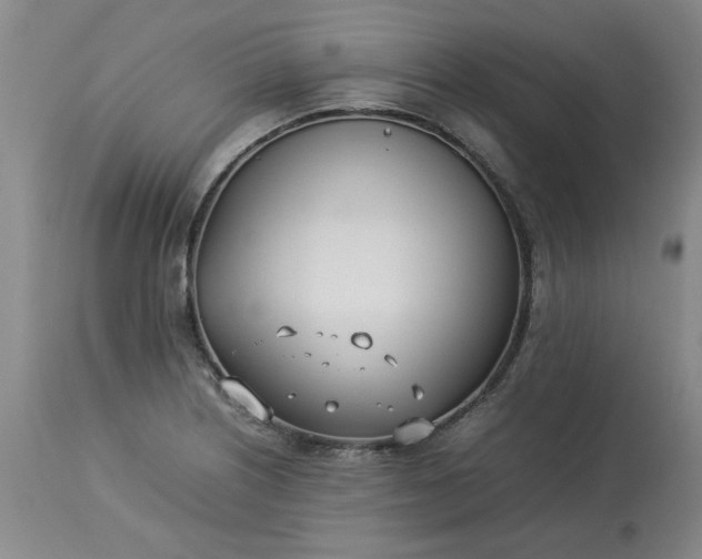 X0000113211226200909241416