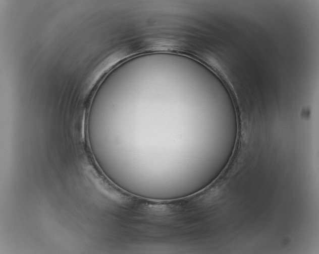 X0000113211227200909241416