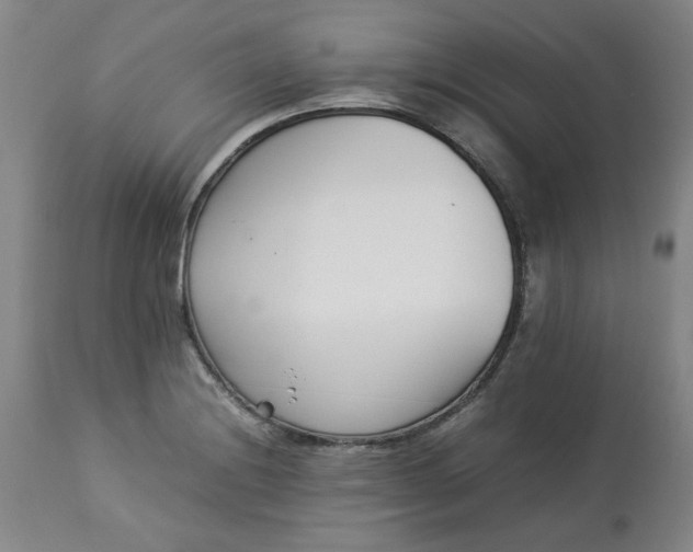 X0000113211228200909241416