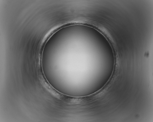 X0000113211232200909241416