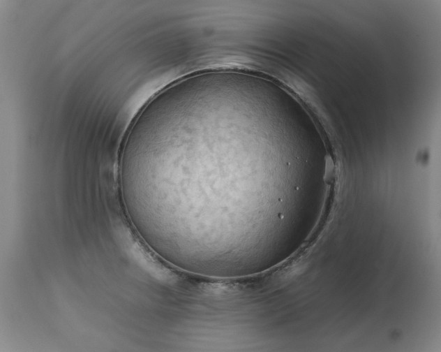 X0000113211234200909241416