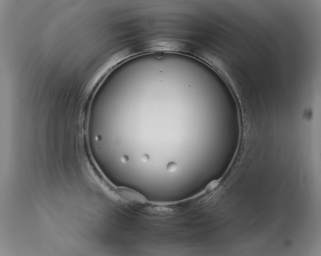 X0000113211235200909241416