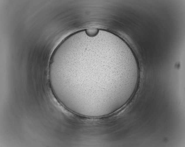 X0000113211236200909241416