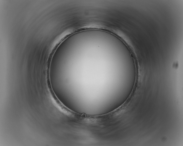 X0000113211237200909241416