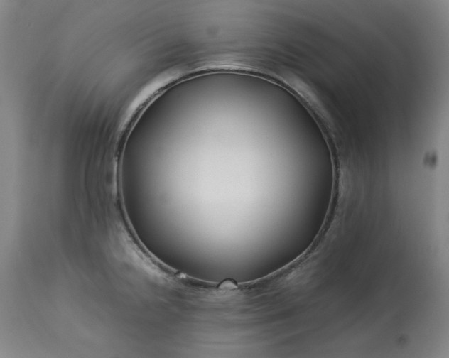 X0000113211238200909241416