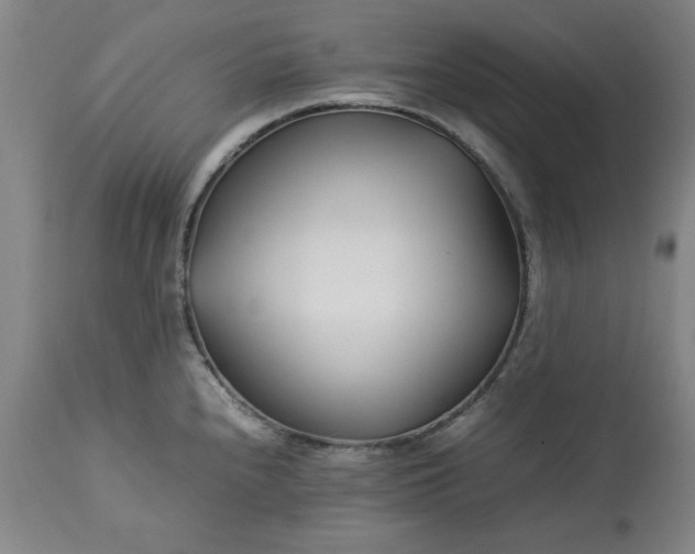 X0000113211240200909241416