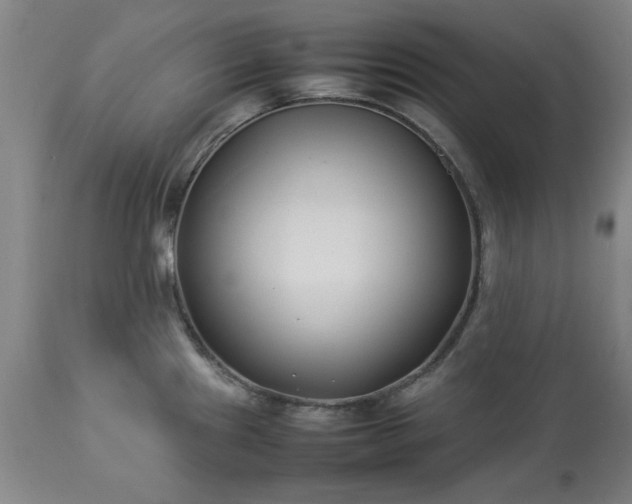 X0000113211241200909241416