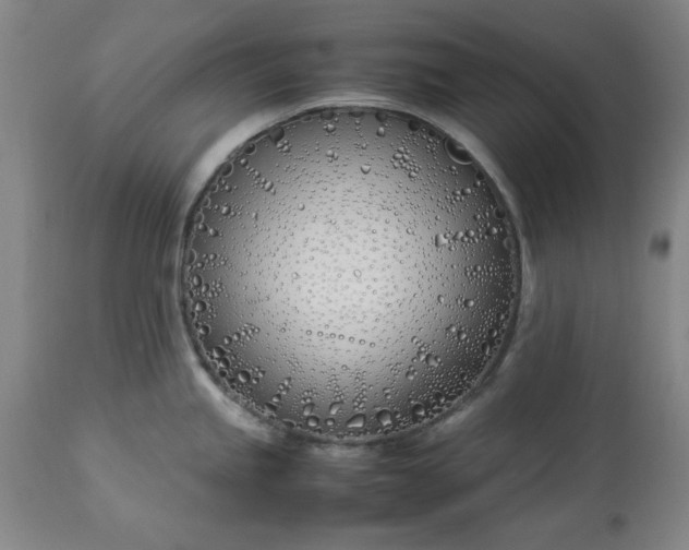 X0000113211245200909241416