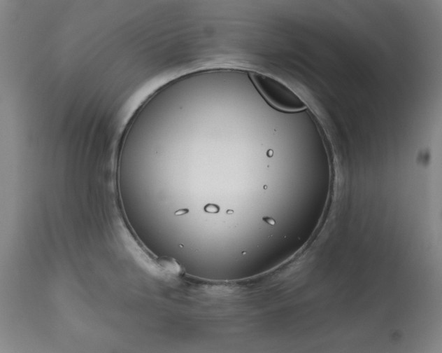 X0000113211246200909241416