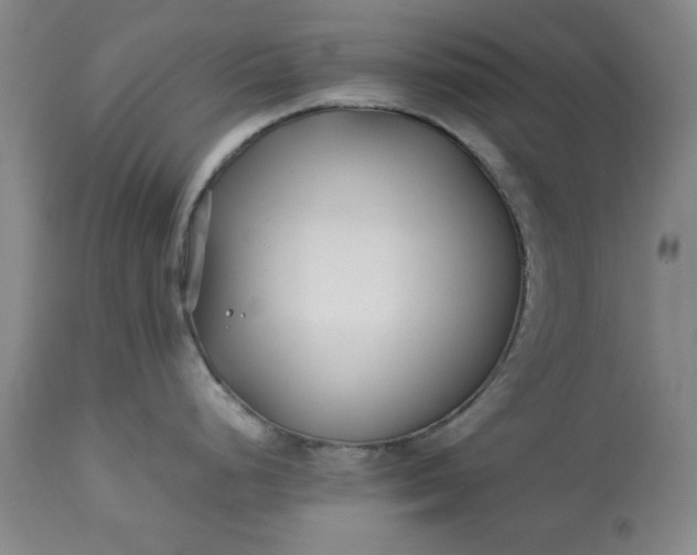 X0000113211248200909241416