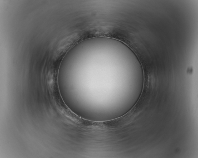 X0000113211250200909241415