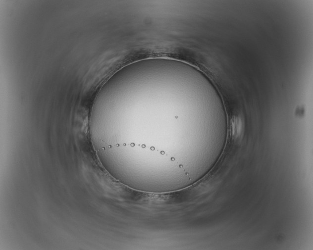 X0000113211251200909241415