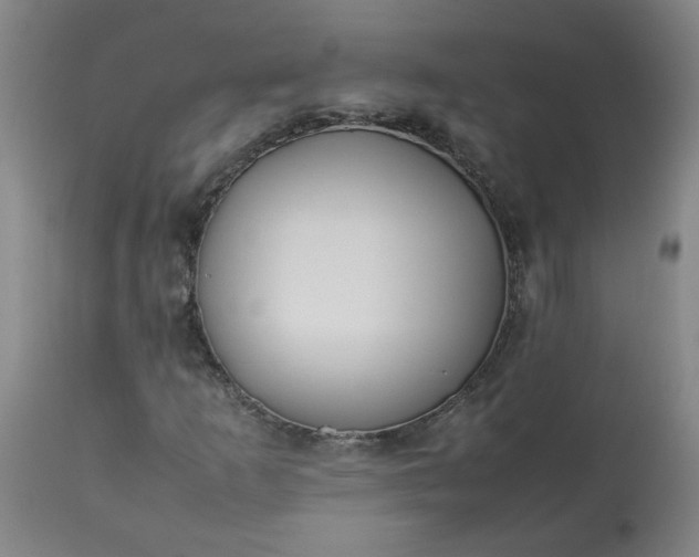 X0000113211253200909241415