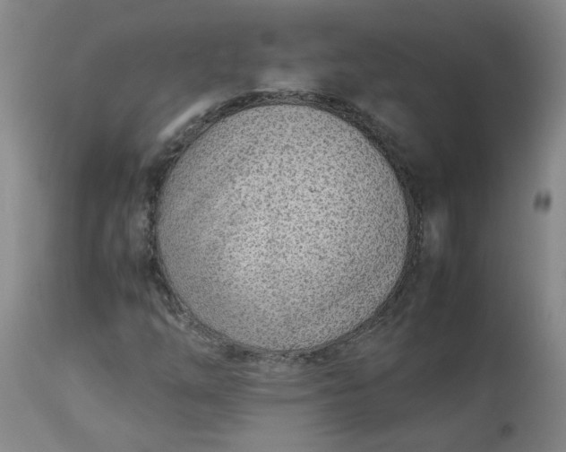 X0000113211254200909241415