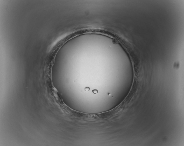 X0000113211255200909241415