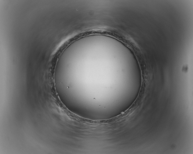 X0000113211256200909241415