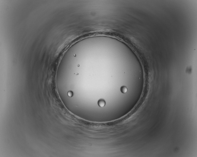 X0000113211257200909241415