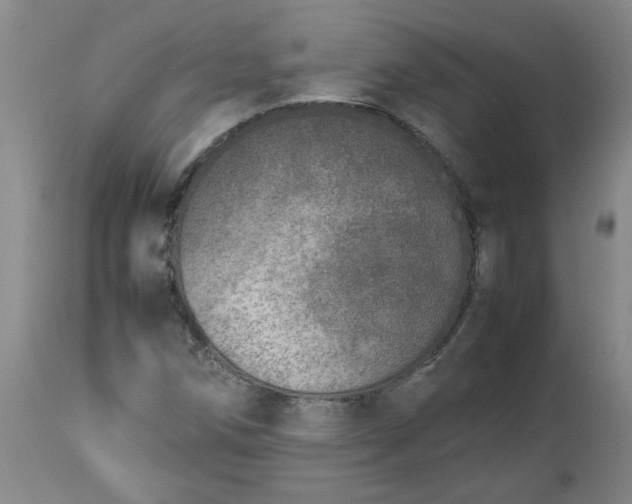 X0000113211258200909241415