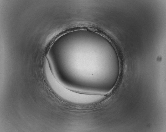 X0000113211261200909241415