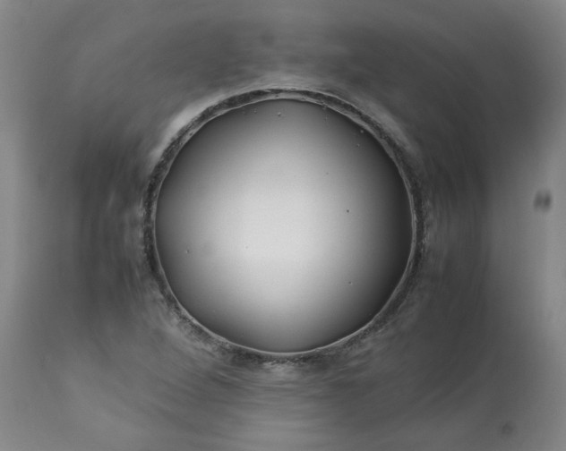 X0000113211264200909241415