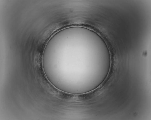 X0000113211265200909241414