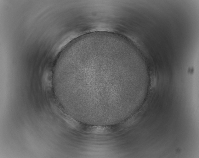 X0000113211266200909241414