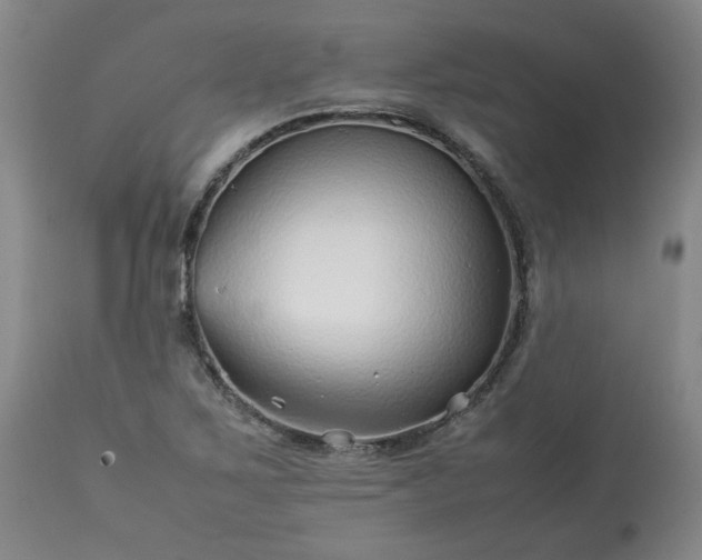 X0000113211267200909241414