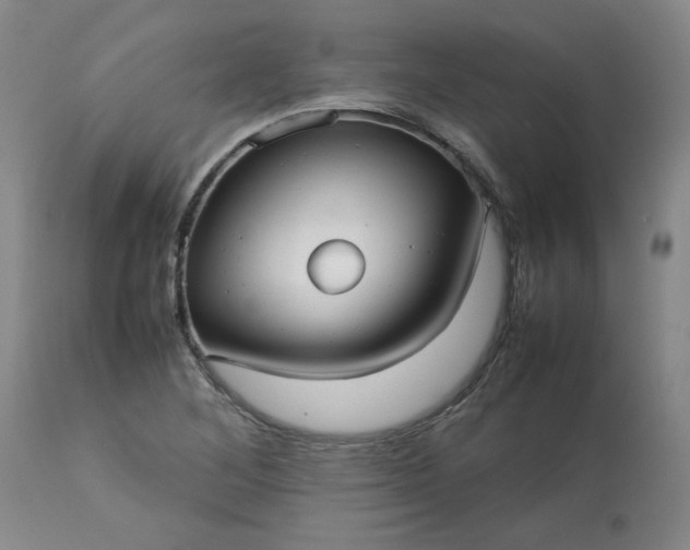 X0000113211268200909241414