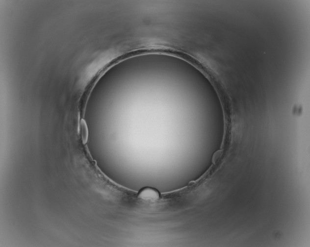 X0000113211269200909241414