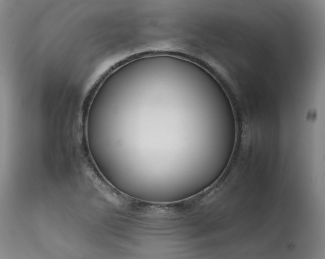 X0000113211270200909241414