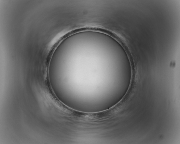 X0000113211271200909241414